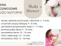 Skala Denver: okna rozwojowe dużej motoryki niemowląt, od obrotów po samodzielny chód.