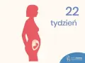 Sylwetka kobiety w ciąży, w brzuchu widoczny płód. Obok napis "22 tydzień".