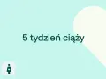5 tydzień ciąży. Delikatne tło z sercem i ikonami D+ oraz kobiety w ciąży.