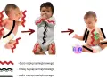 Trzy niemowlęta ilustrujące hipotonię mięśniową: od nadmiernego napięcia, przez umiarkowane, do niskiego.