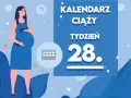 Kobieta w niebieskiej sukience, w 28 tygodniu ciąży, trzyma dłoń na brzuchu. Obok kalendarz i symbole ciąży.
