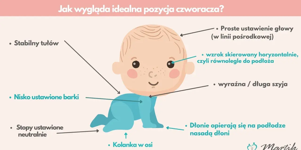 Idealna pozycja czworacza: stabilny tułów, nisko barki, neutralne stopy, kolanka w osi, głowa prosto, wzrok poziomo. To nie raczkowanie, to czworakowanie!