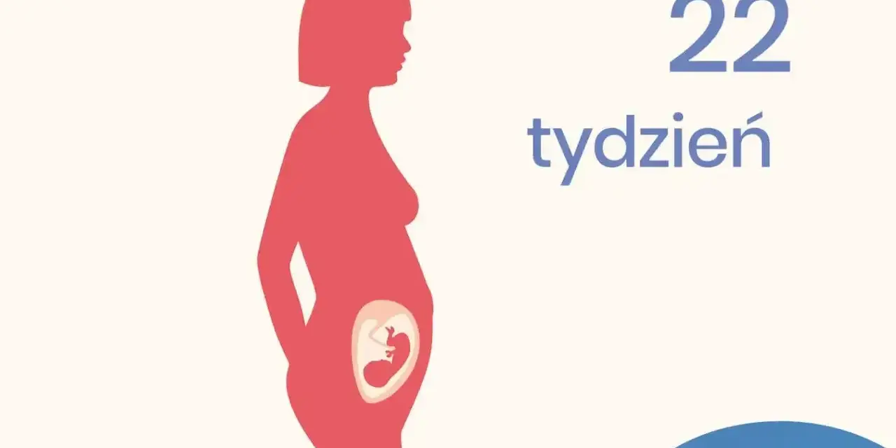 Sylwetka kobiety w ciąży, w brzuchu widoczny płód. Obok napis "22 tydzień".