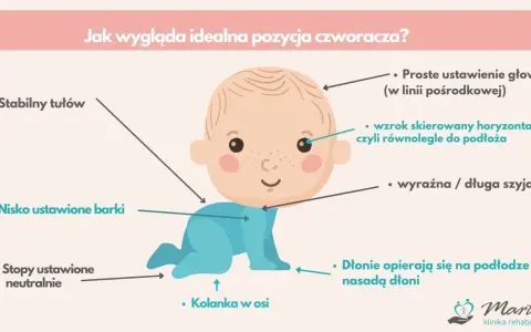 Idealna pozycja czworacza: stabilny tułów, nisko barki, neutralne stopy, kolanka w osi, głowa prosto, wzrok poziomo. To nie raczkowanie, to czworakowanie!