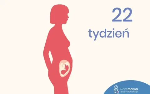 Sylwetka kobiety w ciąży, w brzuchu widoczny płód. Obok napis "22 tydzień".