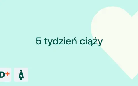 5 tydzień ciąży. Delikatne tło z sercem i ikonami D+ oraz kobiety w ciąży.