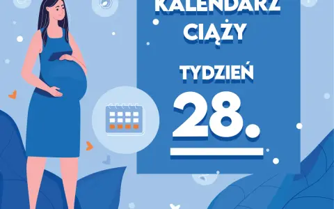 Kobieta w niebieskiej sukience, w 28 tygodniu ciąży, trzyma dłoń na brzuchu. Obok kalendarz i symbole ciąży.