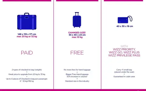 Wizzair: dopłata za bagaż podręczny. Tabela porównuje bagaż rejestrowany (płatny), podręczny (bezpłatny, 55x40x23cm, 10kg) i mały (bezpłatny z Wizz Priority).