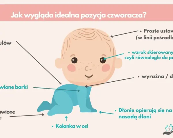 Idealna pozycja czworacza: stabilny tułów, nisko barki, neutralne stopy, kolanka w osi, głowa prosto, wzrok poziomo. To nie raczkowanie, to czworakowanie!