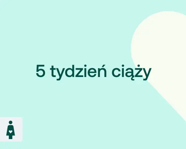 5 tydzień ciąży. Delikatne tło z sercem i ikonami D+ oraz kobiety w ciąży.