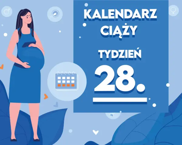 Kobieta w niebieskiej sukience, w 28 tygodniu ciąży, trzyma dłoń na brzuchu. Obok kalendarz i symbole ciąży.