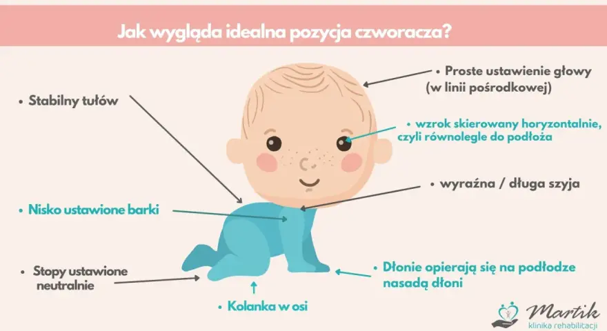 Idealna pozycja czworacza: stabilny tułów, nisko barki, neutralne stopy, kolanka w osi, głowa prosto, wzrok poziomo. To nie raczkowanie, to czworakowanie!