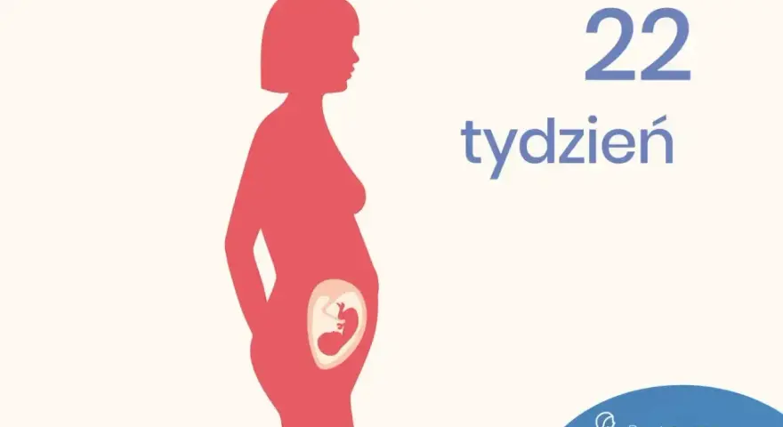 Sylwetka kobiety w ciąży, w brzuchu widoczny płód. Obok napis "22 tydzień".