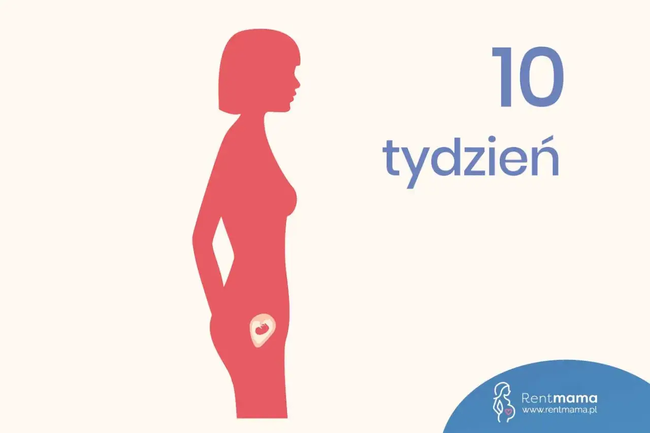 Sylwetka kobiety z zaznaczonym zarodkiem w łonie. Obok napis 