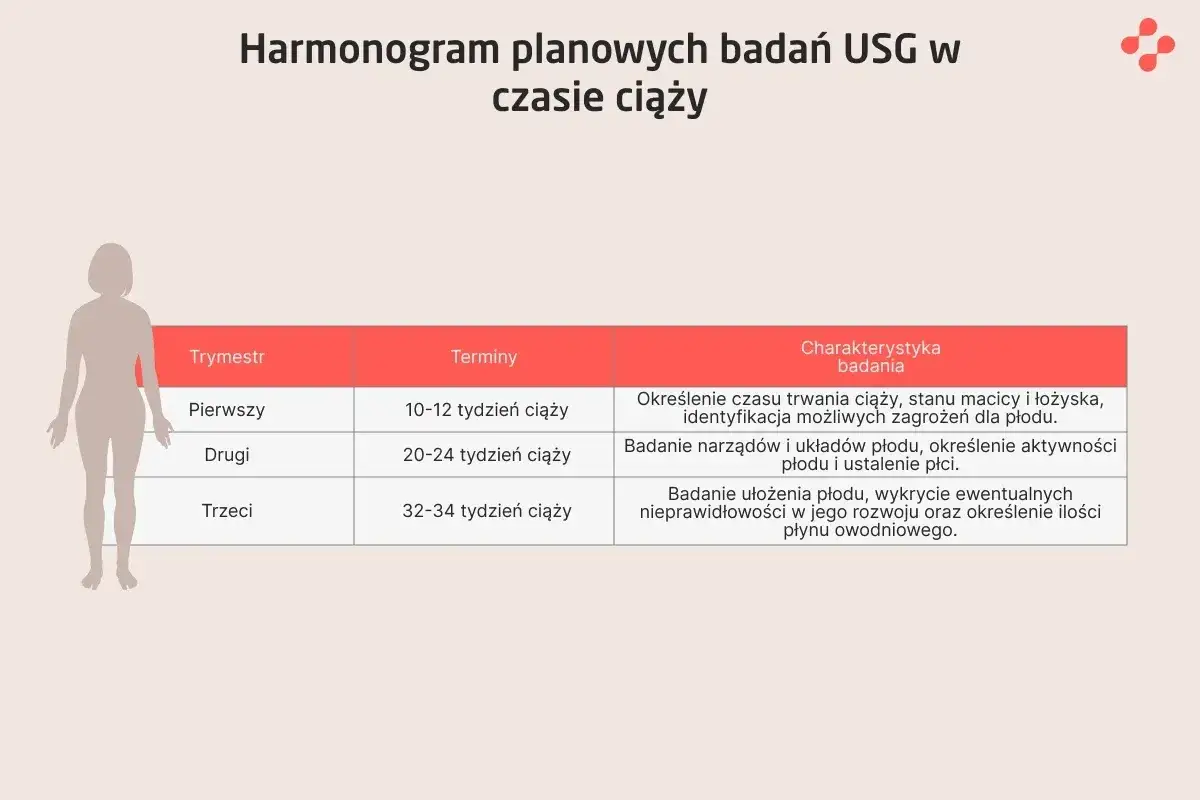Harmonogram badań USG w ciąży: pierwszy trymestr (10-12 tyg.), drugi (20-24 tyg.), trzeci (32-34 tyg.). Dowiedz się, jak często można robić usg w ciąży.
